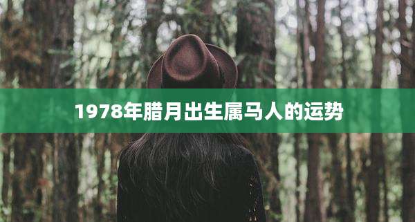 1978年腊月出生属马人的运势