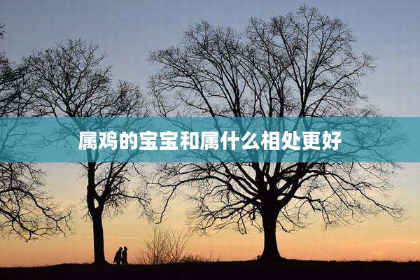 属鸡的宝宝和属什么相处更好