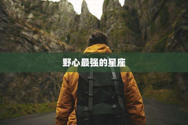 野心最强的星座