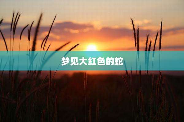 梦见大红色的蛇