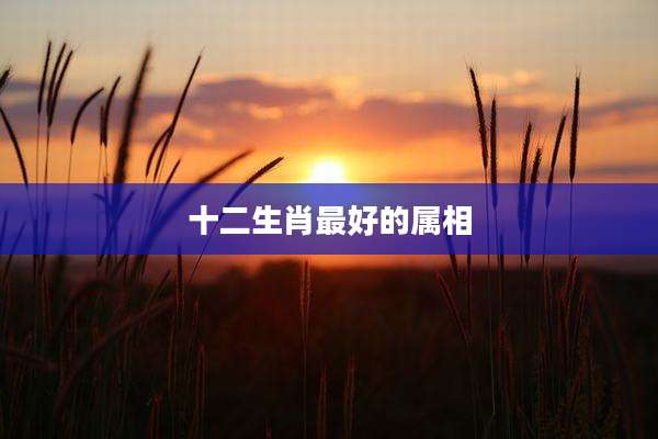 十二生肖最好的属相