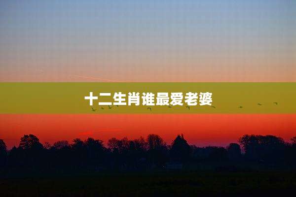 十二生肖谁最爱老婆