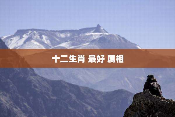 十二生肖 最好 属相