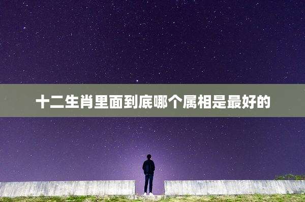 十二生肖里面到底哪个属相是最好的