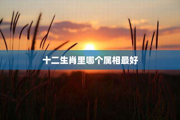 十二生肖里哪个属相最好