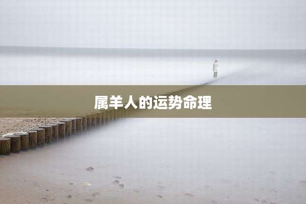 属羊人的运势命理