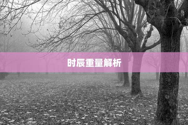 时辰重量解析