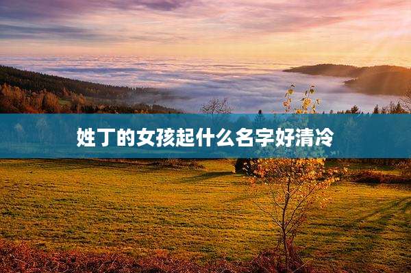 姓丁的女孩起什么名字好清冷