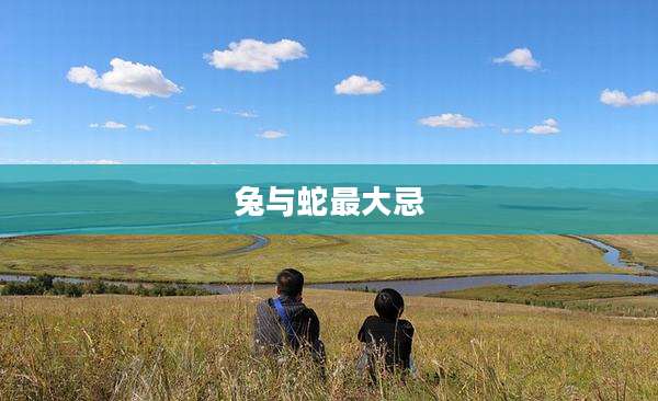 兔与蛇最大忌