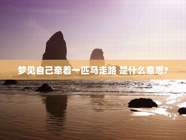 梦见自己牵着一匹马走路 是什么意思?