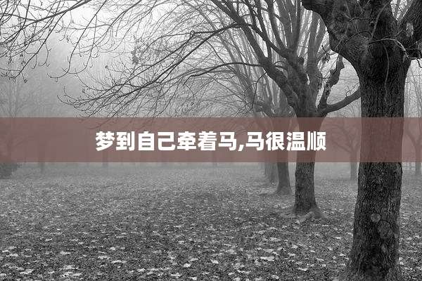 梦到自己牵着马,马很温顺