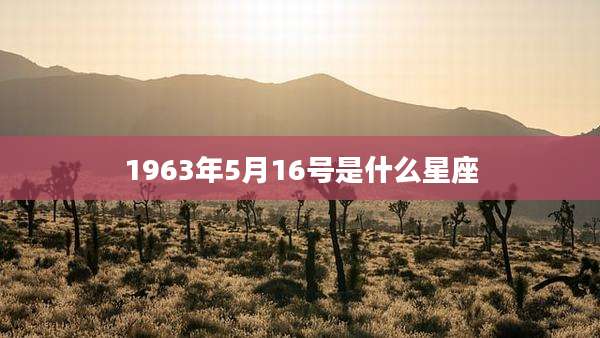 1963年5月16号是什么星座