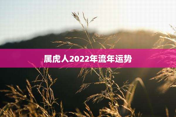 属虎人2022年流年运势