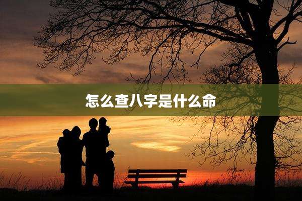 怎么查八字是什么命