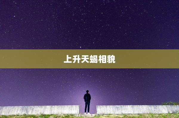 上升天蝎相貌