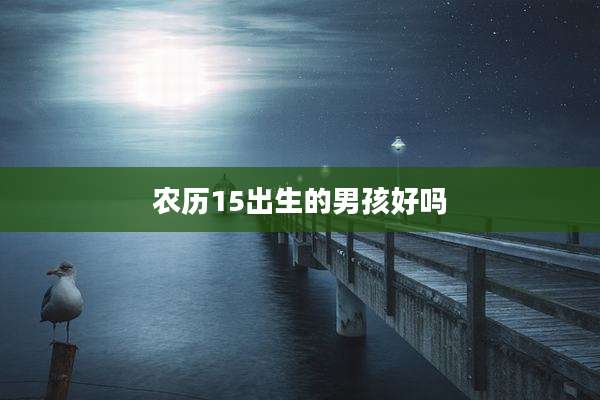 农历15出生的男孩好吗