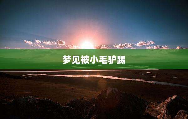 梦见被小毛驴踢