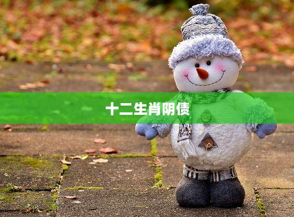 十二生肖阴债
