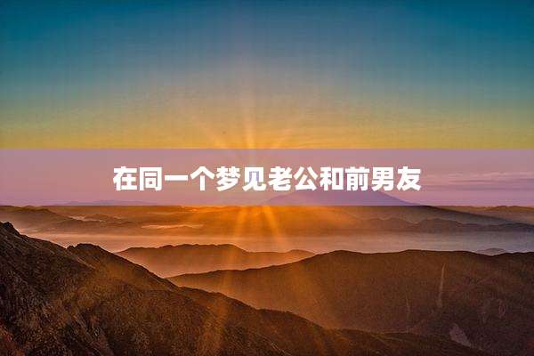 在同一个梦见老公和前男友