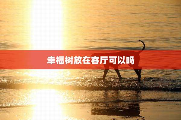 幸福树放在客厅可以吗