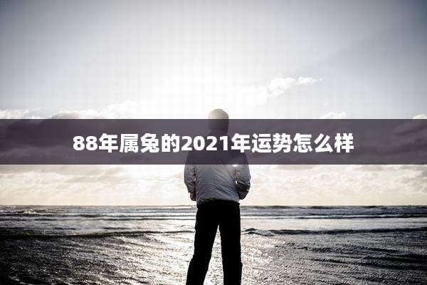 88年属兔的2021年运势怎么样