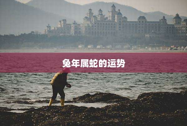 兔年属蛇的运势