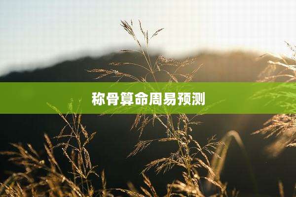 称骨算命周易预测