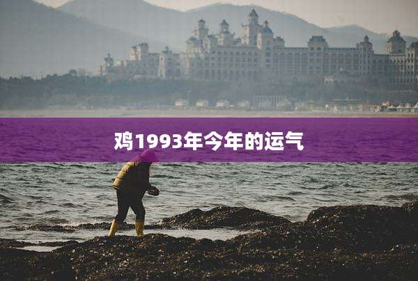 鸡1993年今年的运气