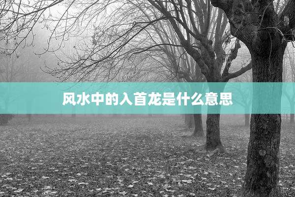 风水中的入首龙是什么意思