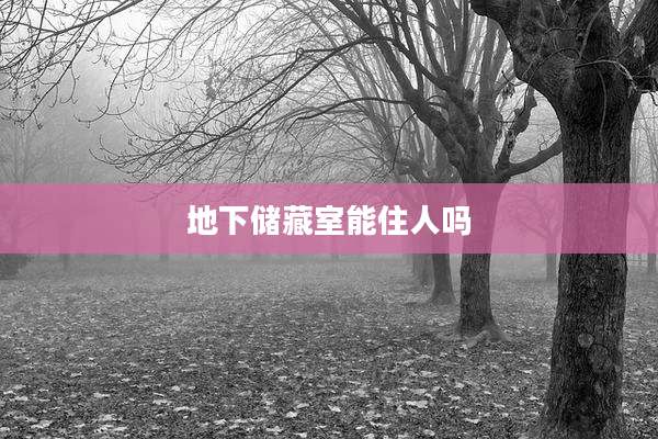 地下储藏室能住人吗