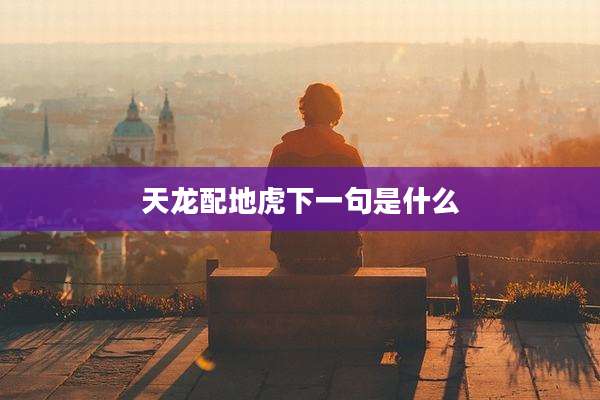 天龙配地虎下一句是什么