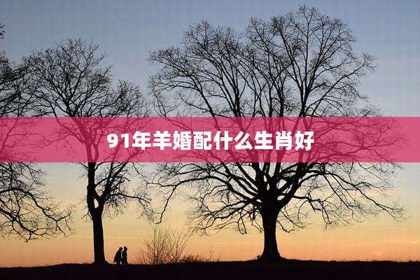 91年羊婚配什么生肖好