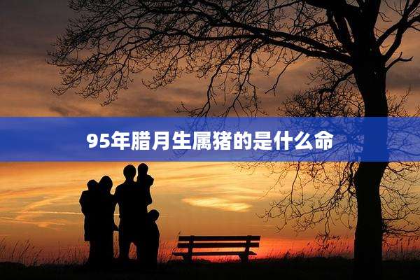 95年腊月生属猪的是什么命