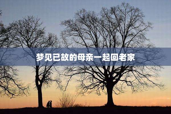 梦见已故的母亲一起回老家