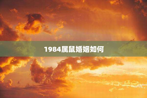 1984属鼠婚姻如何