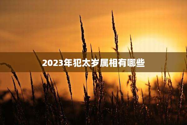 2023年犯太岁属相有哪些