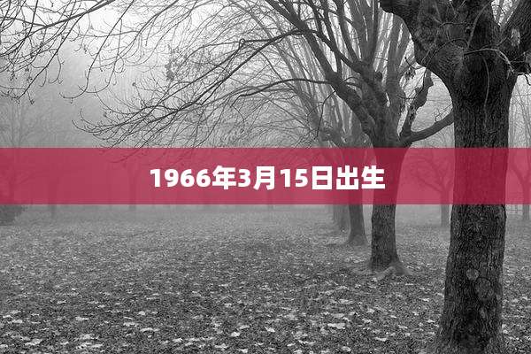 1966年3月15日出生