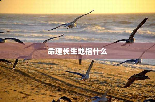 命理长生地指什么