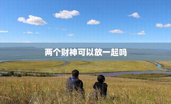 两个财神可以放一起吗