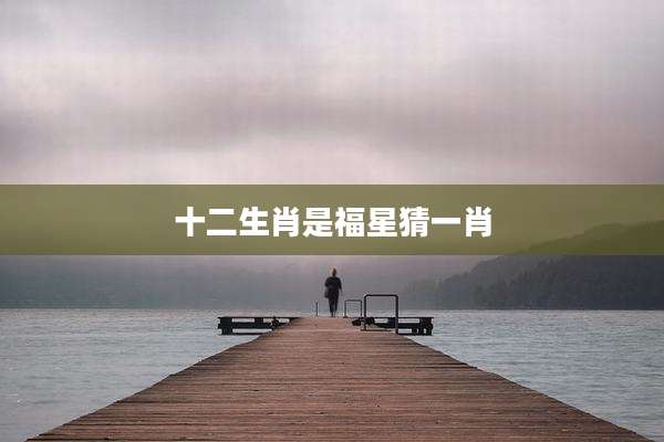 十二生肖是福星猜一肖