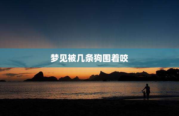 梦见被几条狗围着咬