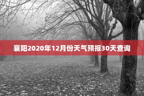 襄阳2020年12月份天气预报30天查询