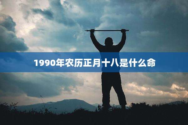1990年农历正月十八是什么命