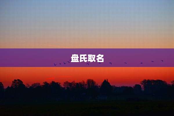 盘氏取名