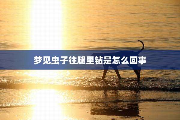 梦见虫子往腿里钻是怎么回事