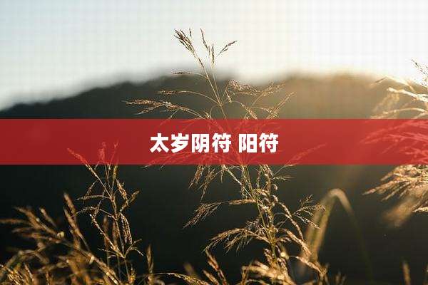太岁阴符 阳符