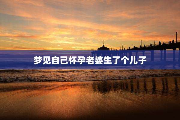 梦见自己怀孕老婆生了个儿子