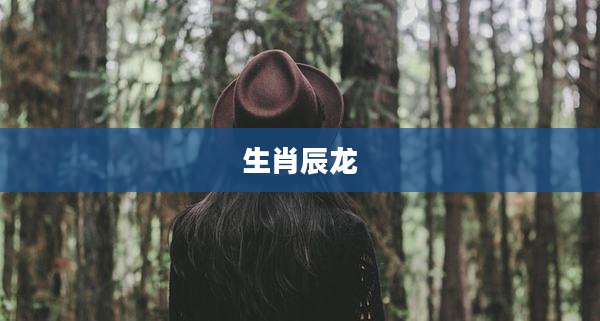 生肖辰龙
