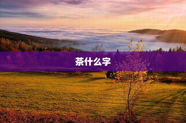 茶什么字