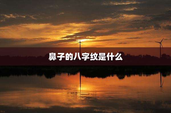 鼻子的八字纹是什么